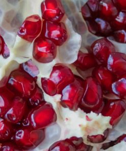 Pomegranate-fruit-paint-by-numbers