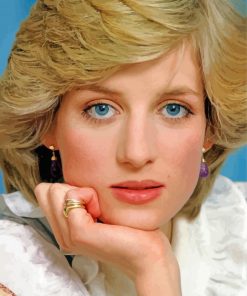 Princess Diana paint by number