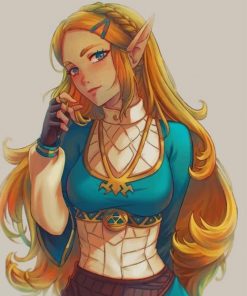 Princess Zelda paint by numbers