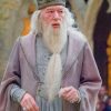 Professor Albus Dumbledore Paint by numbers