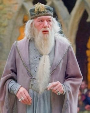 Professor Albus Dumbledore Paint by numbers