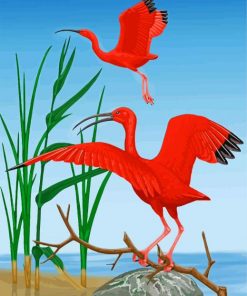 Red Scarlet ibis Birds paint by numbers