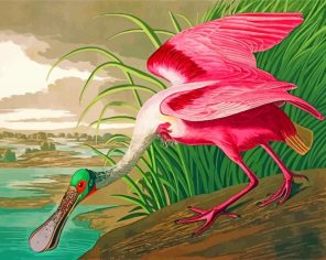 Spoonbill Bird Animal paint by numbers