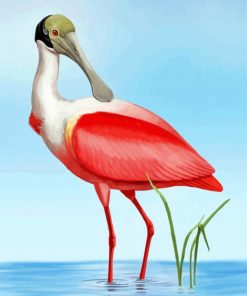 Spoonbill Bird paint by numbers