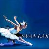 Swan Lake Dancer Paint by number