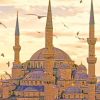 The Blue Mosque Turkey paint by numbers