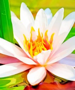 Water-Lily-Flower-paint-by-number