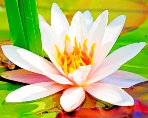 Water-Lily-Flower-paint-by-number