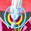 whis Dragon Ball Anime paint by numbers