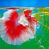 White Red Siamese Fighting Fish Paint by numbers