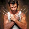 X men wolverine paint by numbers