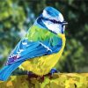 Beautiful Blue Tit paint by numbers