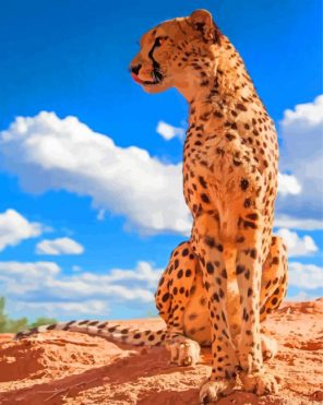 Aesthetic Cheetah Animal paint by numbers