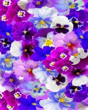 Aesthetic Pansy Flowers paint by numbers