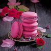 Aesthetic Macaroons paint by numbers