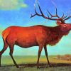 albert bierstadt Elk paint by number