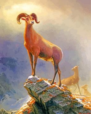 albert bierstadt Rocky Mountains Sheep paint by numbers