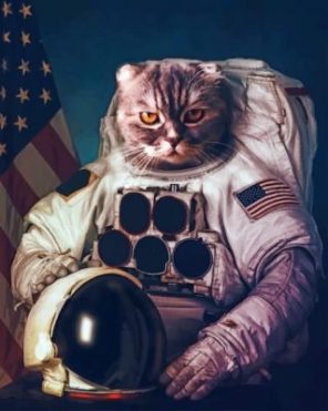 Space Astronaut Cat Paint by numbers