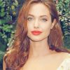 Beautiful Angelina Jolie paint by numbers