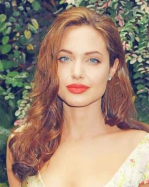 Beautiful Angelina Jolie paint by numbers