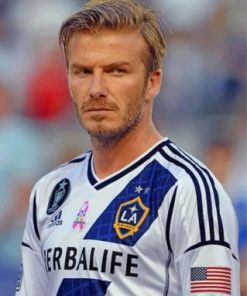 The Professionl Footballer Beckham paint by numbers