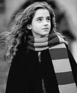 Black And White Hermione Granger paint by numbers