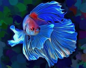 Siamese Fighting Fish paint by numbers