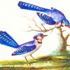 Blue Jay Birds paint by numbers