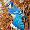 Blue Jay paint by numbers