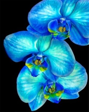 Blue Orchid paint by numbers