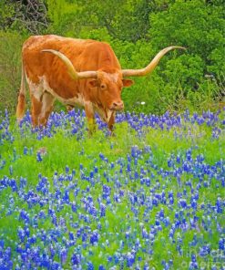 Bluebonnets And Longhorn paint by numbers