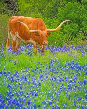 Bluebonnets And Longhorn paint by numbers