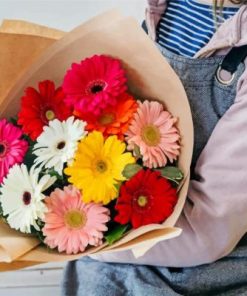 Bouquet Of Gerberas paint by numbers