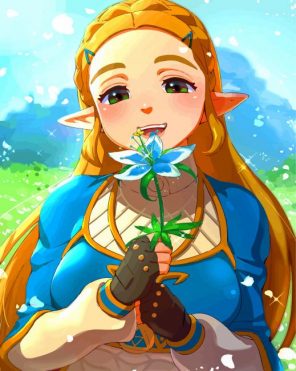 Breath Of The Wild Zelda paint by numbers