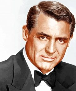 cary grant paint by numbers