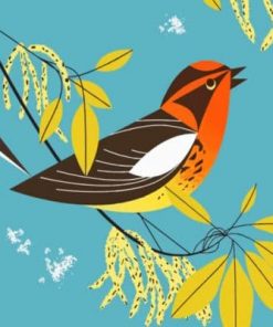 Bird By Charley Harper paint by numbers