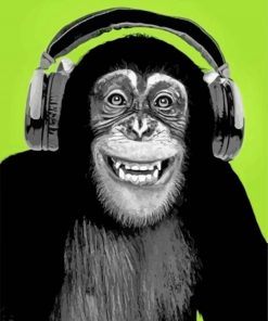 Chimpanzee With Headphones paint by numbers