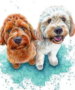 Cockapoo Dogs paint by numbers