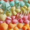 Colorful Seashell paint by numbers