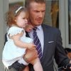 David Beckham And Harper paint by numbers