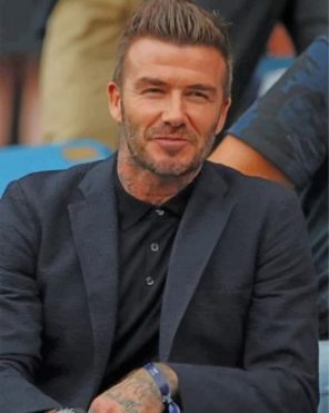 David Robert Joseph Beckham paint by numbers