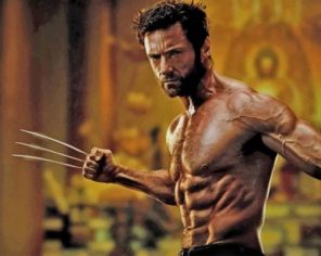 Barba Hugh Jackman Wolverine paint by numbers