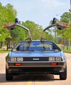 Aesthetic Delorean Car Paint by numbers