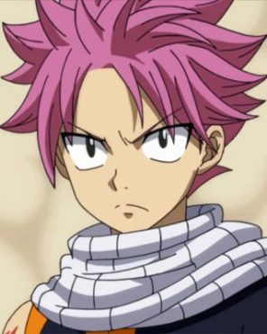 Fairy Tail Natsu paint by numbers