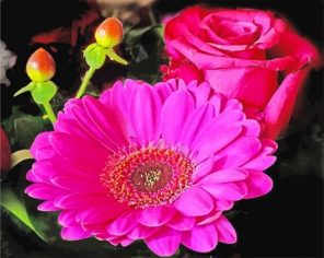 Pink Gerbera Paint by numbers