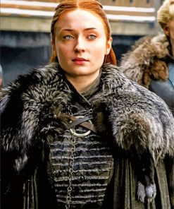 Game of Thrones Sansa Stark Paint By Numbers