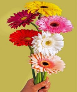 Gerbera Bloem paint by numbers