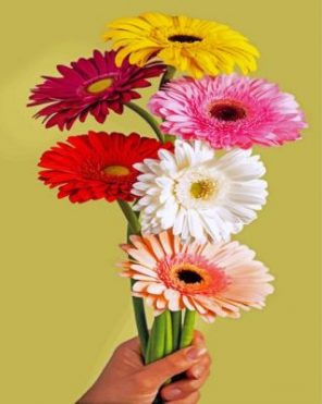 Gerbera Bloem paint by numbers