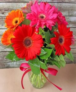 Gerberas Flowers Paint by numbers