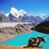 gokyo lakes paint by number